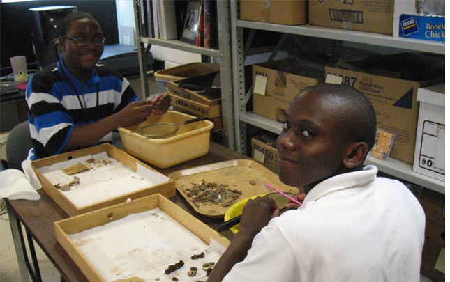 Students sorting artifacts