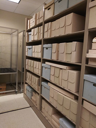 photograph of the boxes and shelves housing the Bartenieff Papers