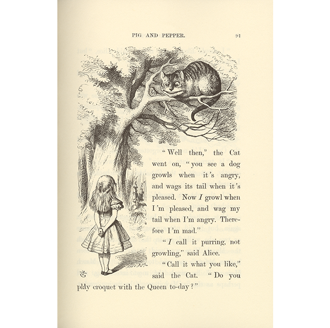 Cheshire illustrated by Tenniel