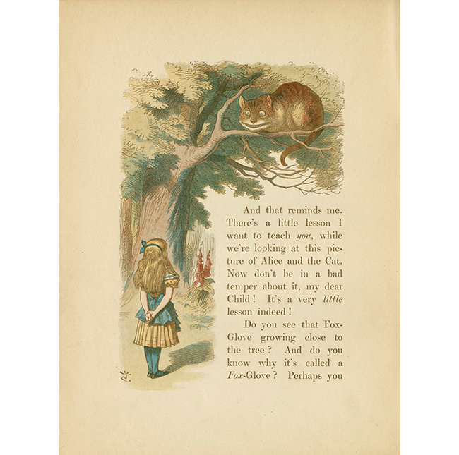Cheshire illustrated by Tenniel page 4