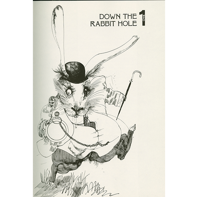 White Rabbit illustrated by Steadman page 28