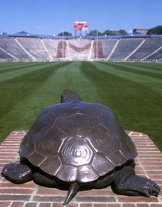 Testudo statue inside Byrd Stadium