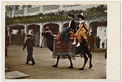 Camel riding at Coney Island