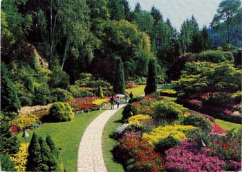 Sunken Garden postcard