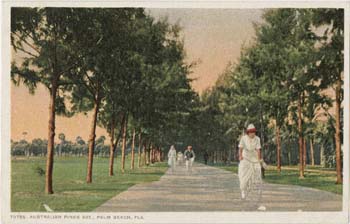 Australian Pines Ave postcard