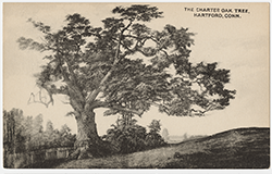 The Charter Oak Tree, Hartford, Connecticut