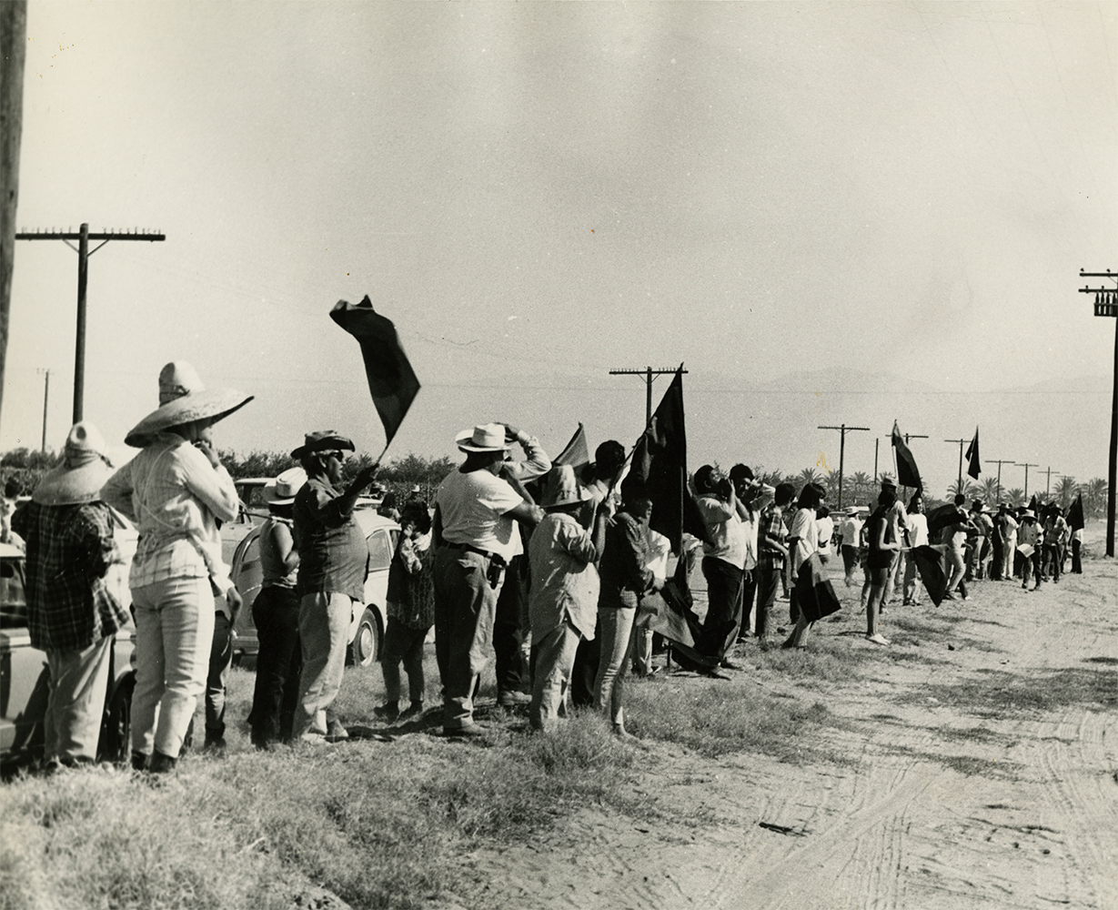 Striking farm workers in the Coachella Valley call to the workers in the fields to join the Delano Grape Strike, circa 1973